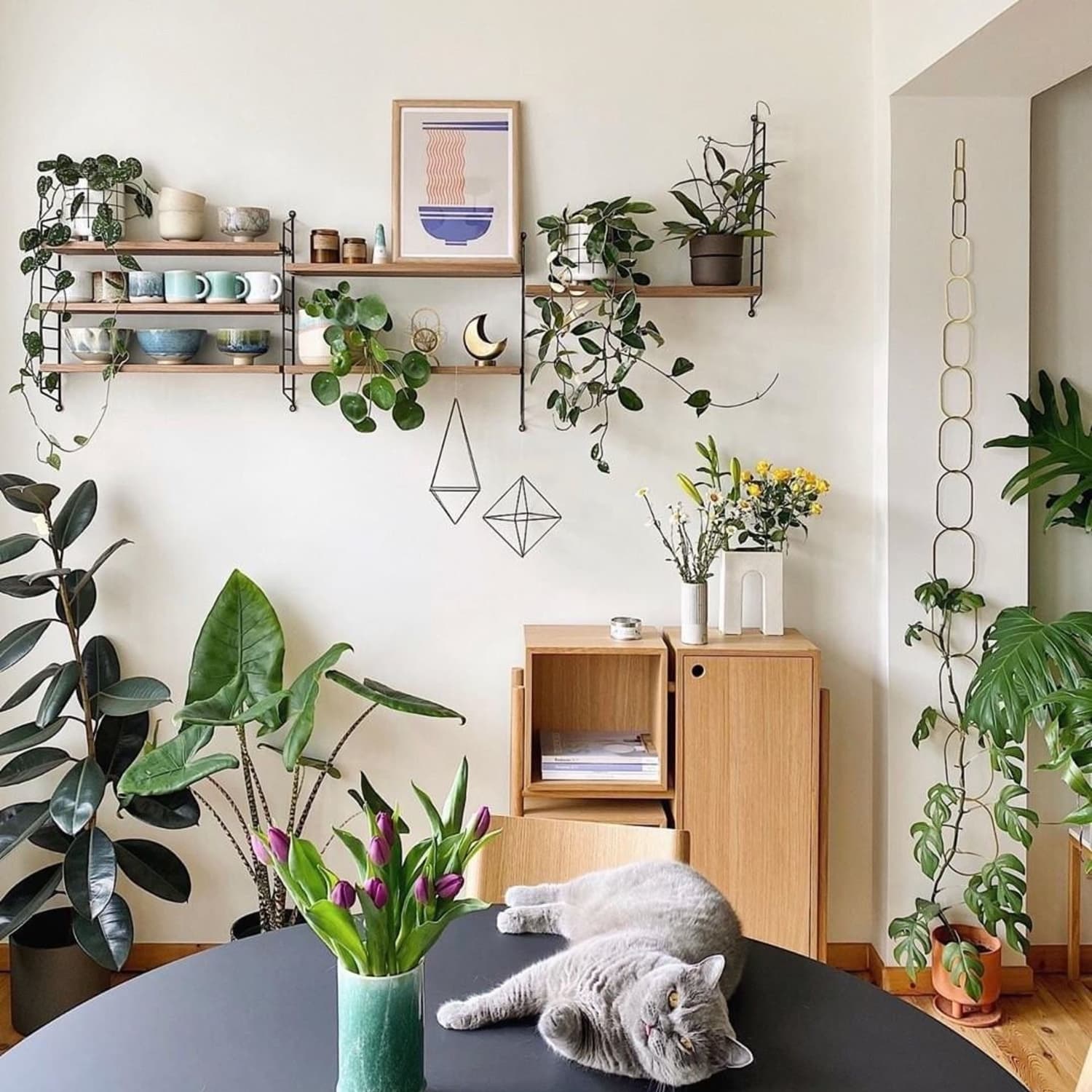 String shelving ikea sale